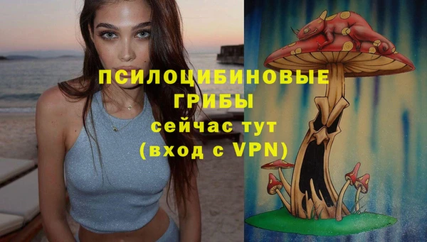 mdpv Верея