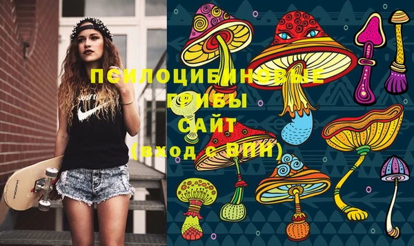 mdpv Верея