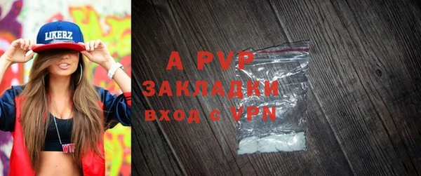 сатива Волоколамск