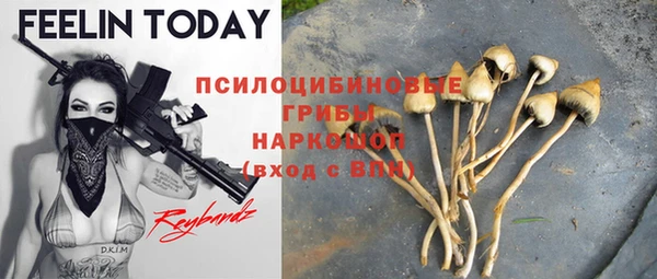 mdpv Верея